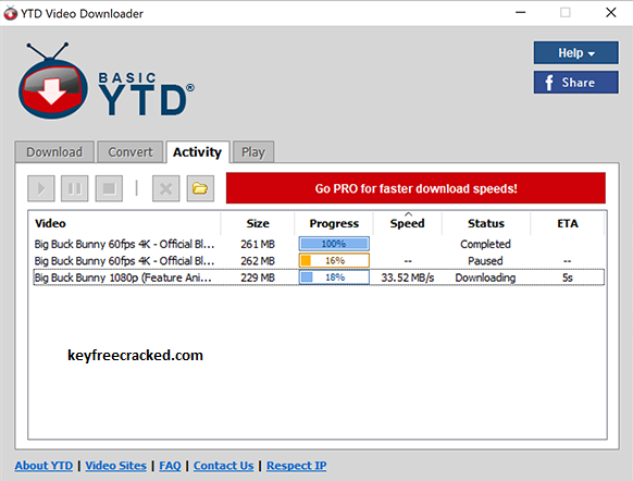 YTD Video Downloader Key